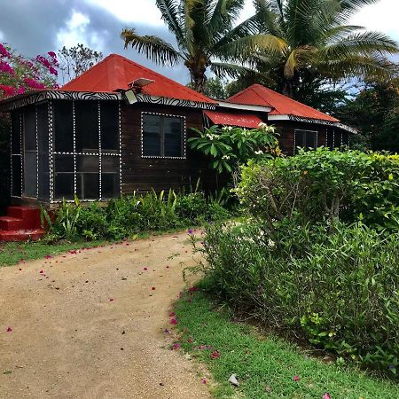 Moringa Ingadi Villa Treasure Beach Luaran gambar