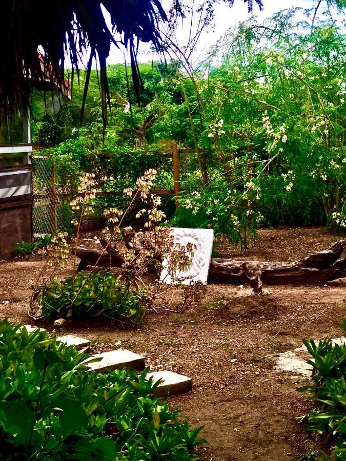 Moringa Ingadi Villa Treasure Beach Luaran gambar