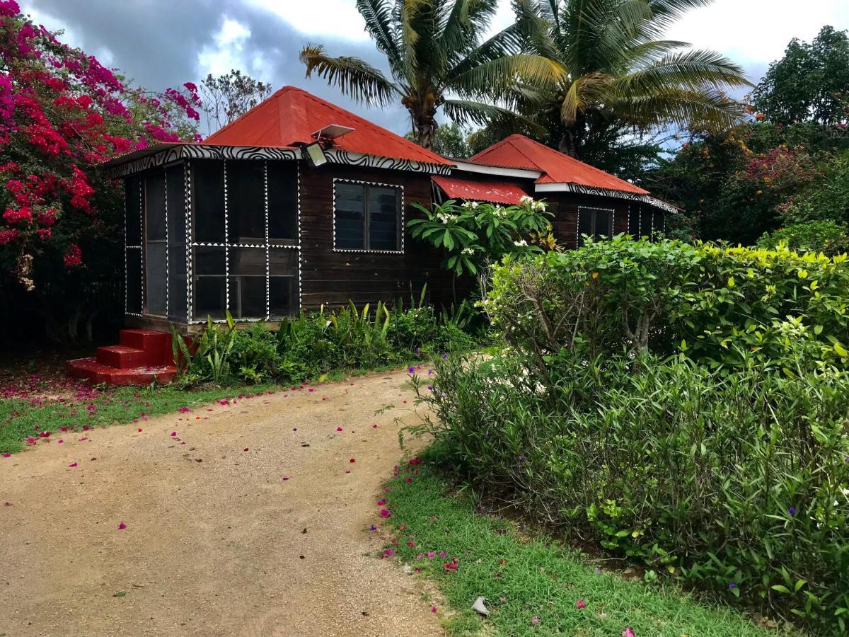 Moringa Ingadi Villa Treasure Beach Luaran gambar