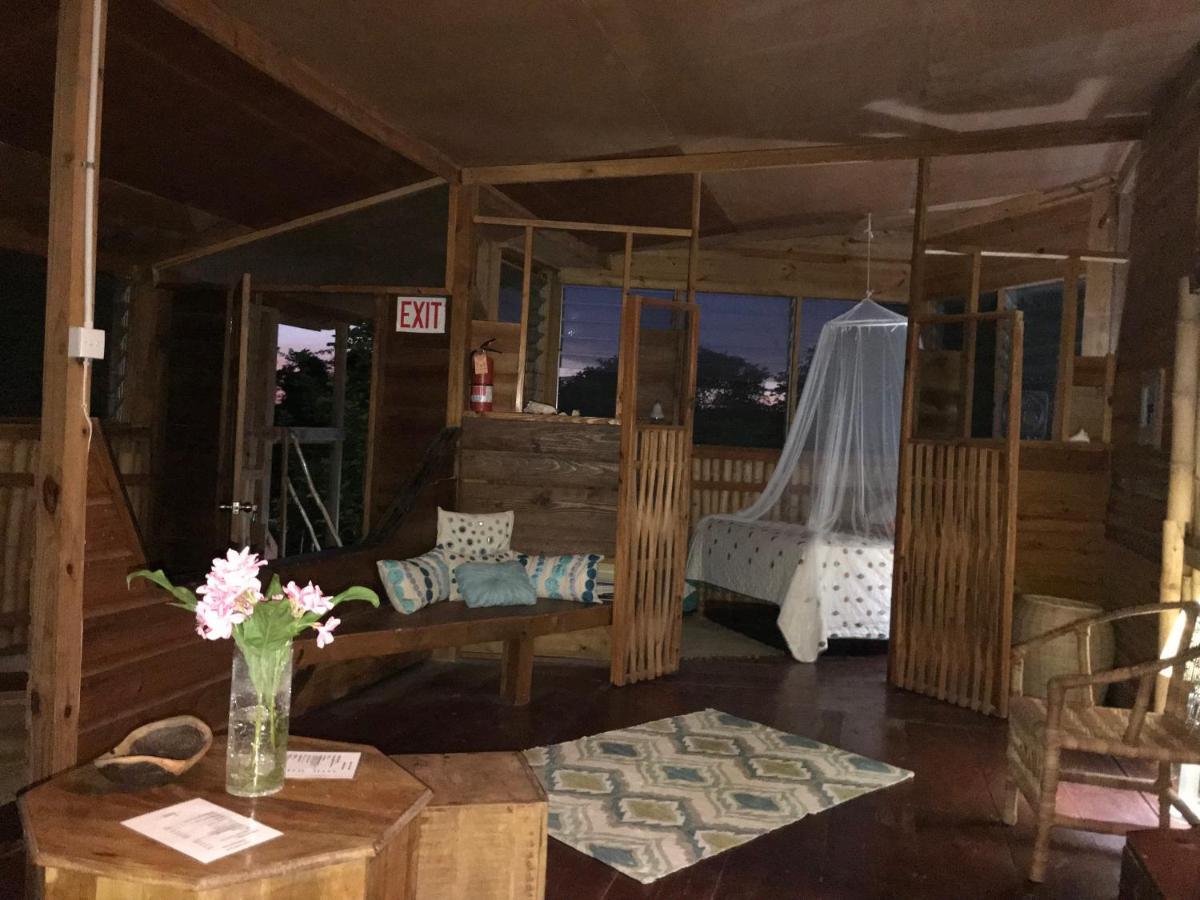 Moringa Ingadi Villa Treasure Beach Luaran gambar